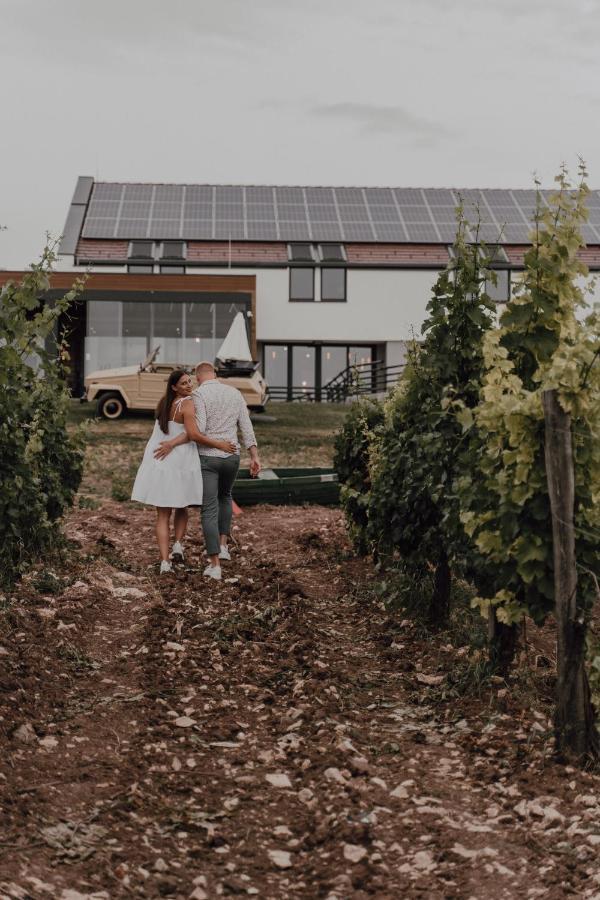 Dobosi Birtokkoezpont Bed & Breakfast Szentantalfa Dış mekan fotoğraf