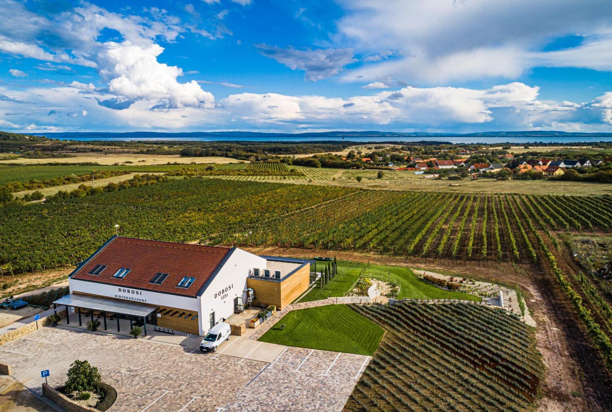 Dobosi Birtokkoezpont Bed & Breakfast Szentantalfa Dış mekan fotoğraf